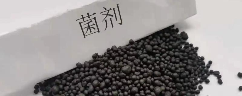 微生物菌剂有哪些好处，土壤健康全靠它