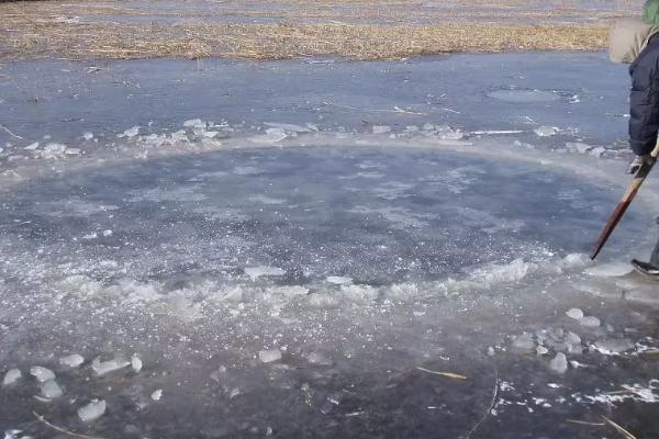 养殖淡水鳗鱼的条件