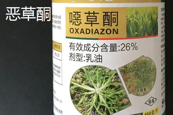 生姜出苗后用什么药除草