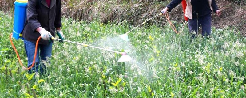 如何正确施用生物农药，主要掌握七点