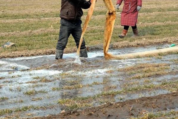 农业用水量主要用于什么相关辅助性活动