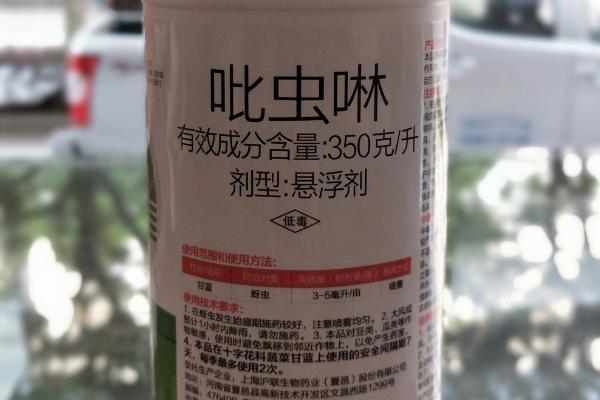 怎么防治蔬菜蚜虫，使用诱虫板可降低蚜虫密度