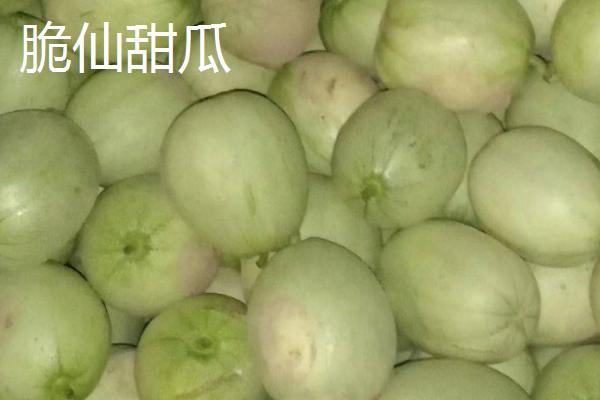 种甜瓜施什么肥，播种前施加定量的有机肥