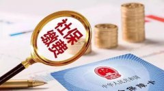 公司社保缴费金额（企业