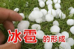 冰雹是怎样形成的（气象