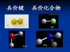 什么是共价化合物（阐述