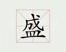 盛的五行属性是什么（盛