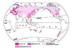 温带季风气候特点解析（