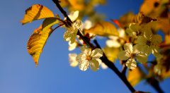 3月属于哪个季节（解答