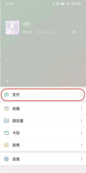 打开手机微信，进入【我】的页面，点击上方的【支付】