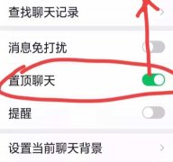 置顶聊天是什么意思（微