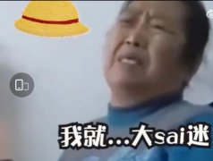 大sai迷是什么意思？大赛