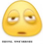 很喜欢文学什么梗？很喜