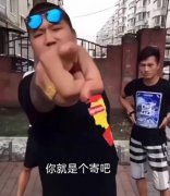 你就是歌姬吧什么意思？