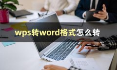 wps格式怎么调整（wps如何