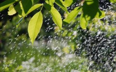 出殡时下雨的预兆（出殡