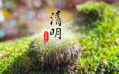 清明节是否法定节日（2