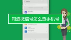 微信查询手机号方法（了