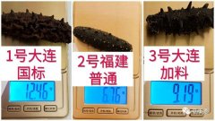 怎样鉴别海参的好坏（关