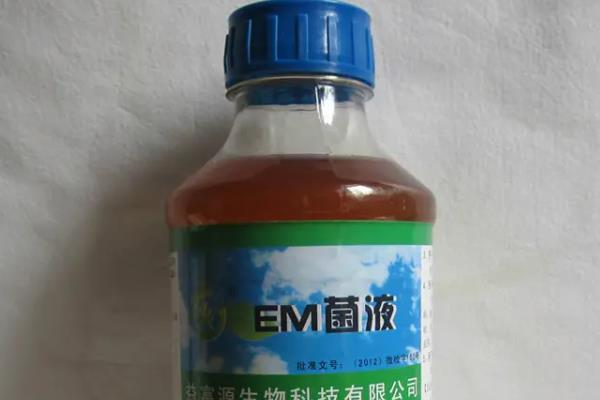 em菌发酵最佳方法