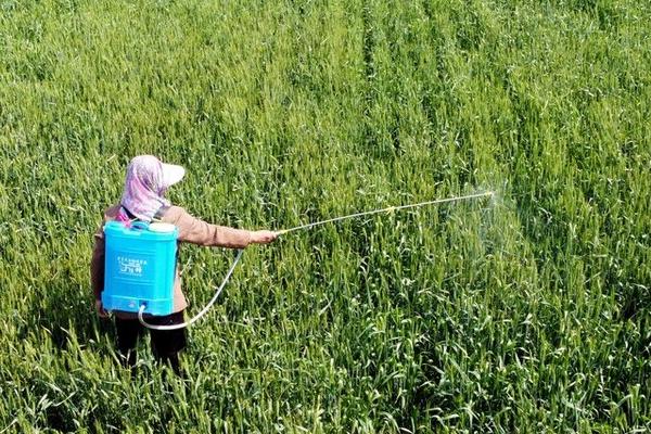 吡虫啉的防治对象，可防治刺吸式口器害虫、双翅目和鳞翅目害虫