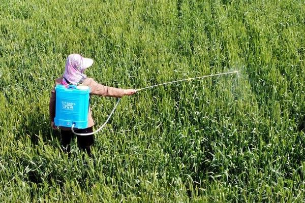 吡虫啉的主要防治对象，主治蚜虫、蓟马等刺吸式口器害虫