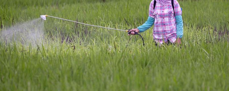 吡虫啉的主要防治对象，主治蚜虫、蓟马等刺吸式口器害虫