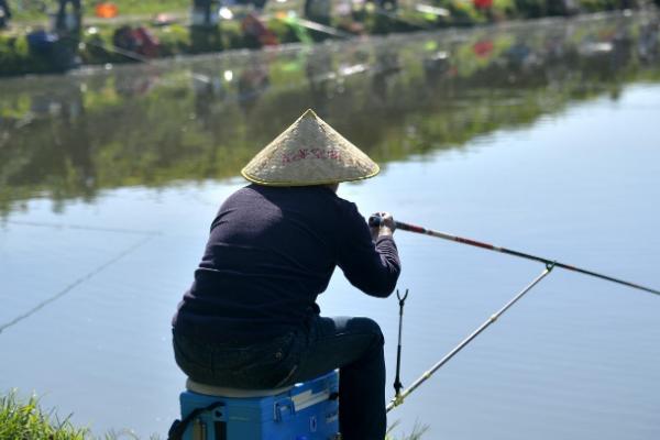 大鲢鳙好不好钓，大鲢鳙的垂钓难度大