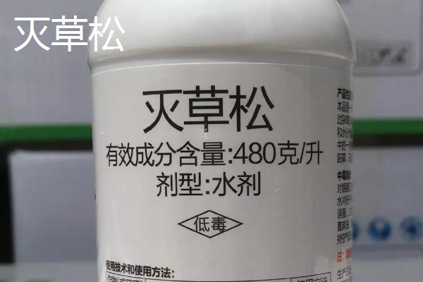 大豆封闭除草剂的种类