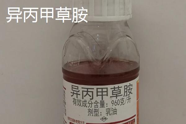 大豆封闭除草剂的种类