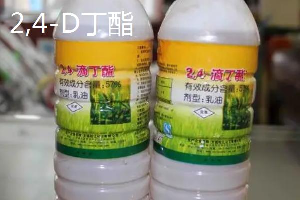 大豆封闭除草剂的种类